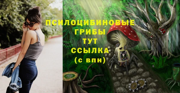 MDMA Premium VHQ Инсар