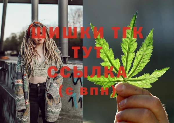mdpv Инта
