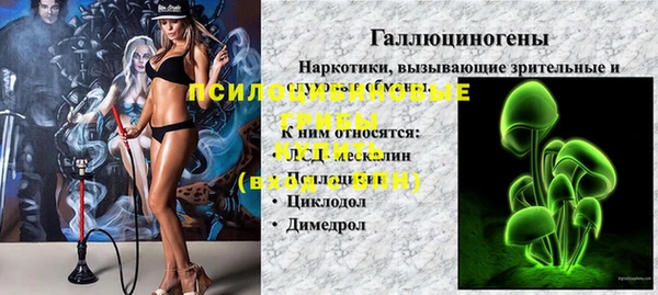 прущая мука Иннополис