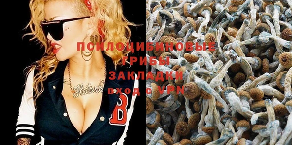 прущая мука Иннополис
