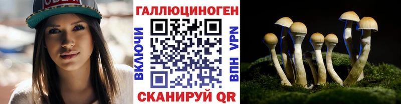 Галлюциногенные грибы прущие грибы  Купить где  Бокситогорск 